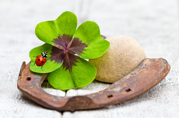 Glücksbringer zu Neujahr - Hufeisen, Kleeblatt und darauf ein Marienkäfer